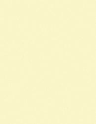 3M™ Lapping Film 266X, 12.0 Micron PSA Sheet, 8.50 in x 11 in image 3M™ Lapping Film 266X, 12.0 Micron PSA Sheet, 8.50 in x 11 inimage