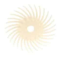 Scotch-Brite™ Radial Bristle Disc, RB-ZB, 80, 3 in x 3/8 in, Bulk image Scotch-Brite™ Radial Bristle Disc, RB-ZB, 80, 3 in x 3/8 in, Bulkimage