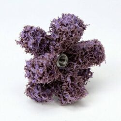 Scotch-Brite™ Cross Buff, 1-1/2 in x 3/8 in x 2 PLY x 8-32 High Strength A MED, 25/Carton, 100 ea/Case image Scotch-Brite™ Cross Buff, 1-1/2 in x 3/8 in x 2 PLY x 8-32 High Strength A MED, 25/Carton, 100 ea/Caseimage