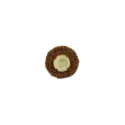 Scotch-Brite™ Roloc™ Surface Conditioning Disc, SC-DS, A/O Coarse, TS, 3/4 in, 50/Bag, 200 ea/Case image Scotch-Brite™ Roloc™ Surface Conditioning Disc, SC-DS, A/O Coarse, TS, 3/4 in, 50/Bag, 200 ea/Caseimage