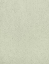 3M™ Wetordry™ Polishing Paper Sheet 281Q, 9.0 Micron, 8.50 in x 11 in, 20/Inner, 200/Caseimage